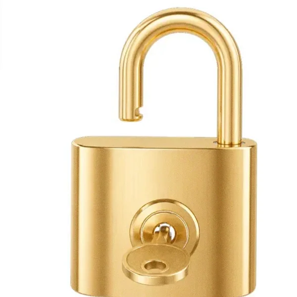 Open padlock — Kingdom