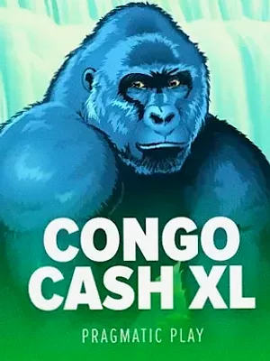 Congo Cash XL at Kingdom